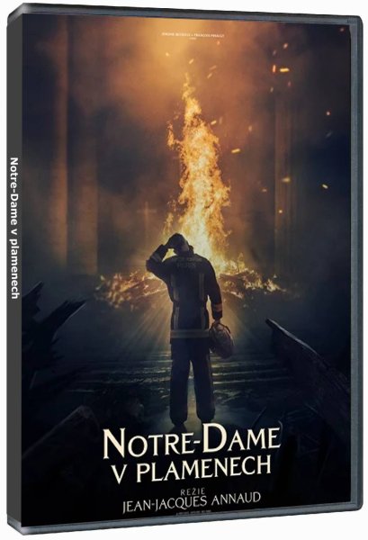 detail Notre-Dame brûle - DVD
