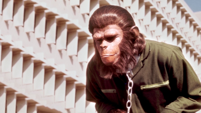 detail A majmok bolygója 4. - DVD