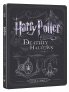 náhled Harry Potter és a Halál ereklyéi 1. rész - Blu-ray + DVD - Steelbook
