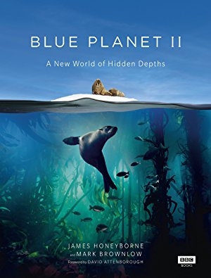 detail A kék bolygó 2 (Blue Planet 2) - 4K Ultra HD Blu-ray + Blu-ray 6BD