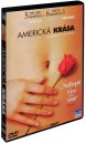 előnézet Amerikai szépség - DVD