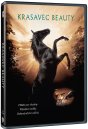 előnézet Fekete szépség - DVD