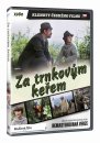 előnézet Za trnkovým keřem (remasterovaná verze) - DVD