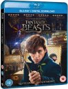 előnézet Legendás állatok és megfigyelésük - Blu-ray