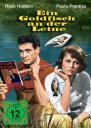 előnézet A férfiak kedvenc sportja - DVD