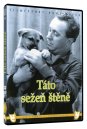előnézet Táto sežeň štěně - DVD