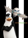 előnézet A Madagaszkár pingvinjei - DVD