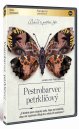 előnézet The Duke of Burgundy - DVD