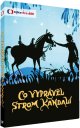 előnézet Co vyprávěl strom Kandalí - DVD
