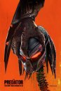 előnézet Predator – A ragadozó - DVD