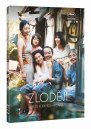 előnézet Bolti tolvajok - DVD