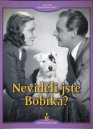 előnézet Neviděli jste Bobíka? - DVD Digipack