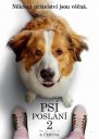előnézet Egy kutya négy útja - DVD