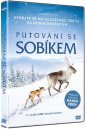 előnézet Ailo - Egy kis rénszarvas nagy utazása - DVD
