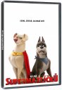 előnézet DC Szuperállatok Ligája - DVD