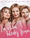 előnézet Za vším hledej ženu - DVD