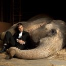 előnézet Vizet az elefántnak - Blu-ray