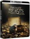 előnézet Legendás állatok és megfigyelésük - 4K Ultra HD Blu-ray + BD Steelbook 