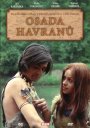 előnézet Osada havranů - DVD pošetka