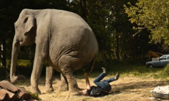 részlet A százéves ember, aki kimászott az ablakon és eltűnt - DVD