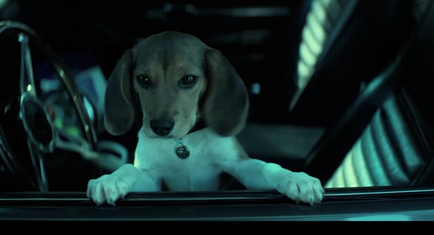 részlet John Wick - DVD
