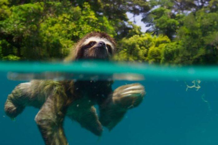 részlet Zázračná planeta II - 4K Ultra HD Blu-ray + Blu-ray 4BD (bez CZ)