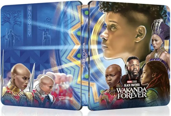 részlet Fekete Párduc: Vakanda, légy áldott! - 4K UHD BD + BD Steelbook (Wakanda)