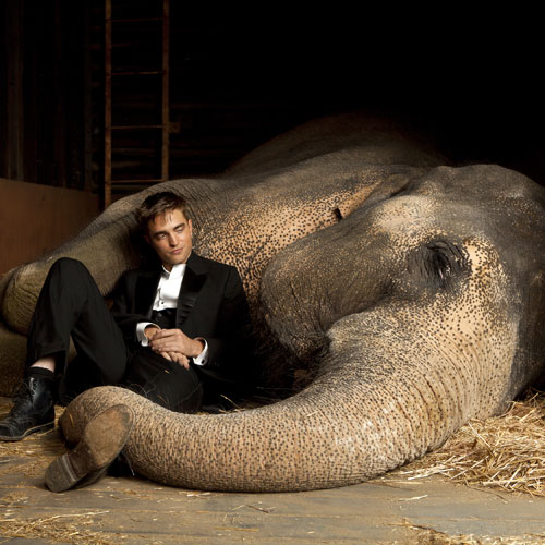 részlet Vizet az elefántnak - Blu-ray