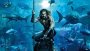 előnézet Aquaman - DVD