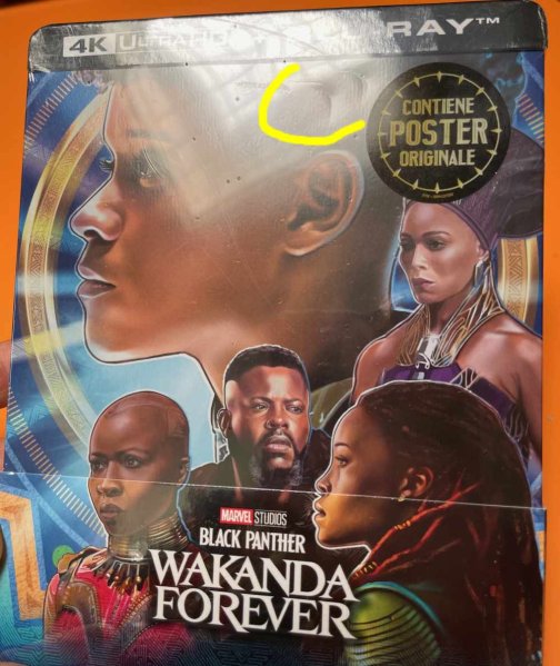 részlet Black Panther: Wakanda Forever - 4K + BD Steelbook OUTLET