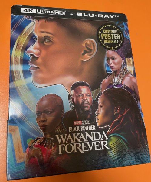 részlet Black Panther: Wakanda Forever - 4K + BD Steelbook OUTLET