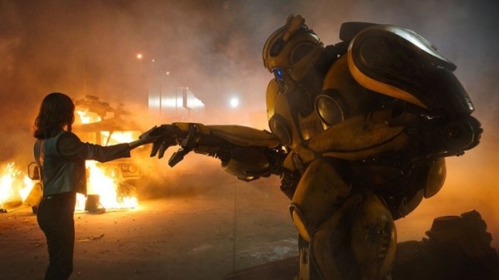 detail Bumblebee - DVD