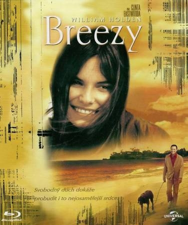 detail Breezy - Blu-ray