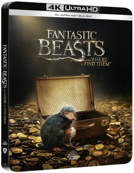részlet Legendás állatok és megfigyelésük - 4K Ultra HD Blu-ray + BD Steelbook 