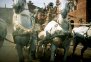 előnézet Ben Hur (1959) - 2DVD