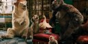 előnézet Dolittle - 4K Ultra HD Blu-ray + Blu-ray (2BD)