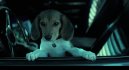 előnézet John Wick - DVD