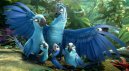 előnézet Rio 2. - Blu-ray