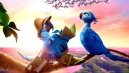 előnézet RIO 2 - DVD
