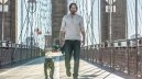 előnézet John Wick: 2. felvonás - Blu-ray