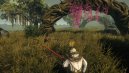 előnézet Outward - PC