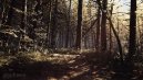 előnézet Blair Witch - PC