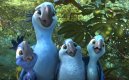 előnézet RIO 2 - DVD