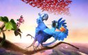 előnézet RIO 2 - DVD