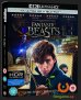 előnézet Legendás állatok és megfigyelésük - 4K Ultra HD Blu-ray + Blu-ray (2BD)