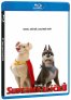 náhled DC Szuperállatok Ligája - Blu-ray