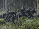 előnézet A majmok bolygója: Háború - DVD