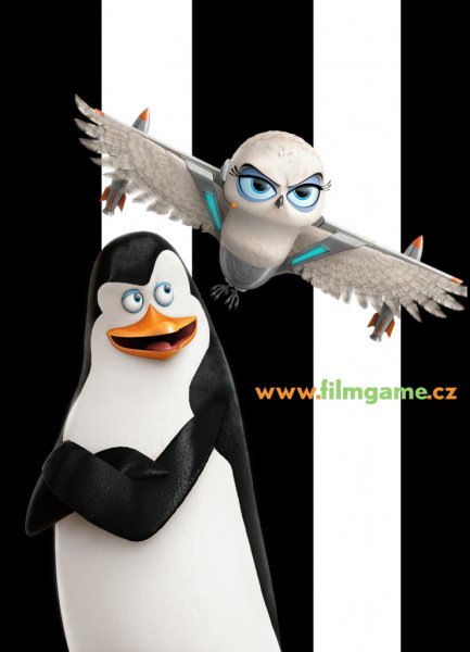 detail A Madagaszkár pingvinjei - DVD