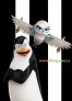 náhled A Madagaszkár pingvinjei - DVD