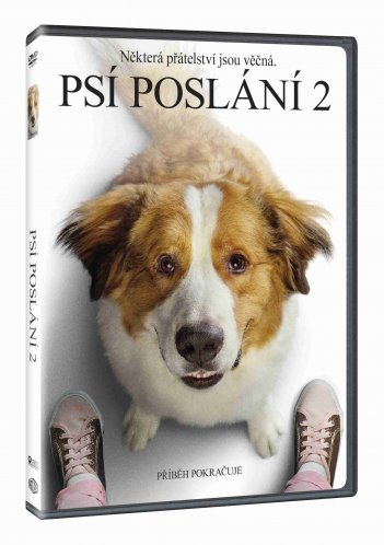 Egy kutya négy útja - DVD
